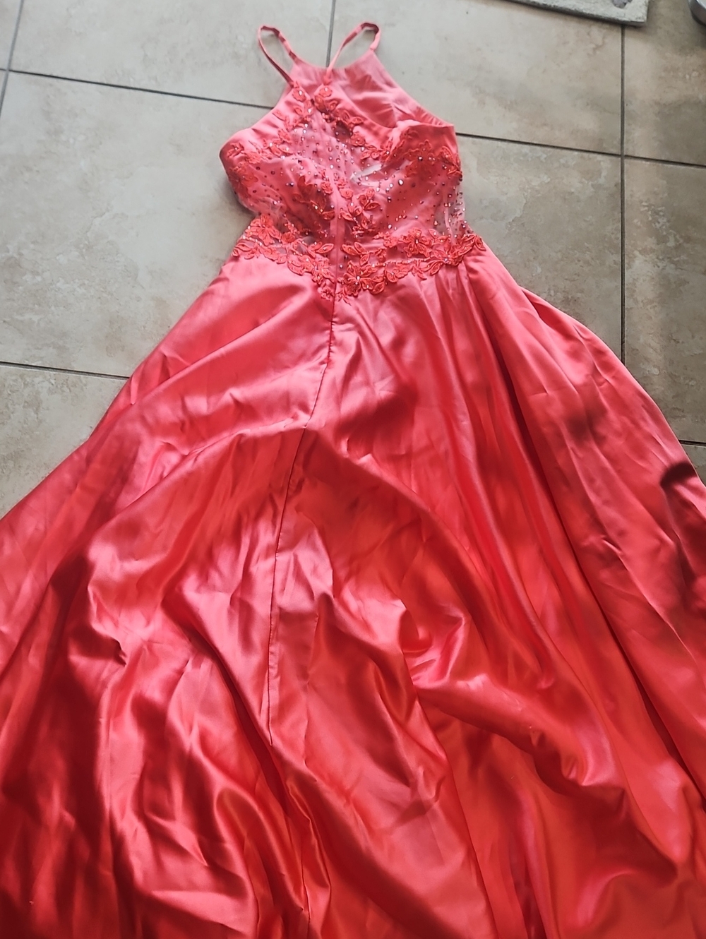 Beautiful Coral